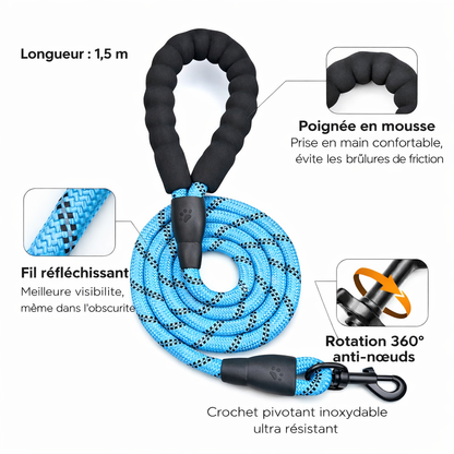 Harnais et laisse anti-traction Yôôppy ™