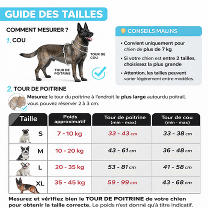 Harnais et laisse anti-traction Yôôppy ™