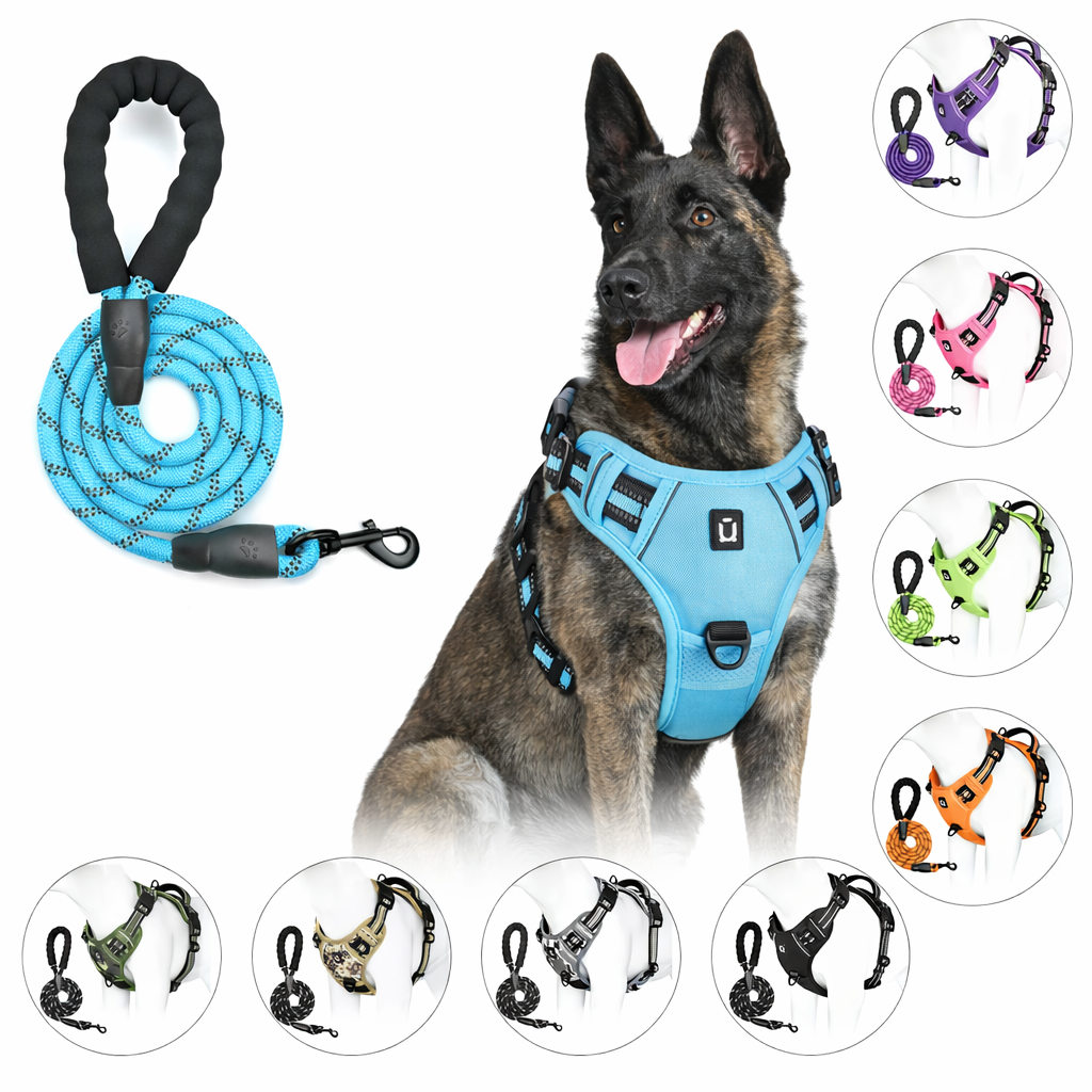 Harnais et laisse anti-traction Yôôppy ™